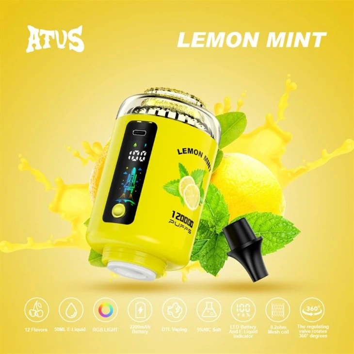 ATVS 120000 PUFFS Hookah Head factory