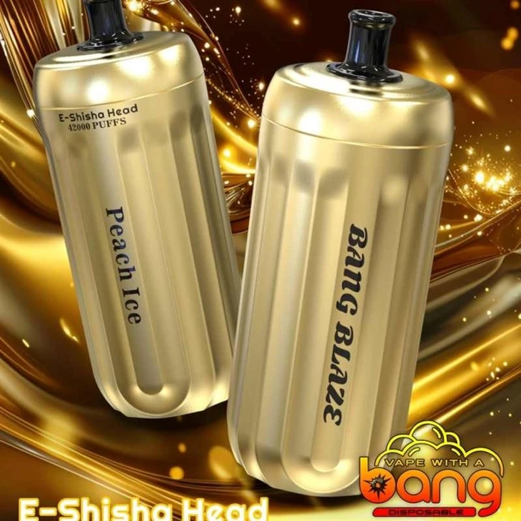 BANG BLAZE E-Shisha Head 42K Puffs factory