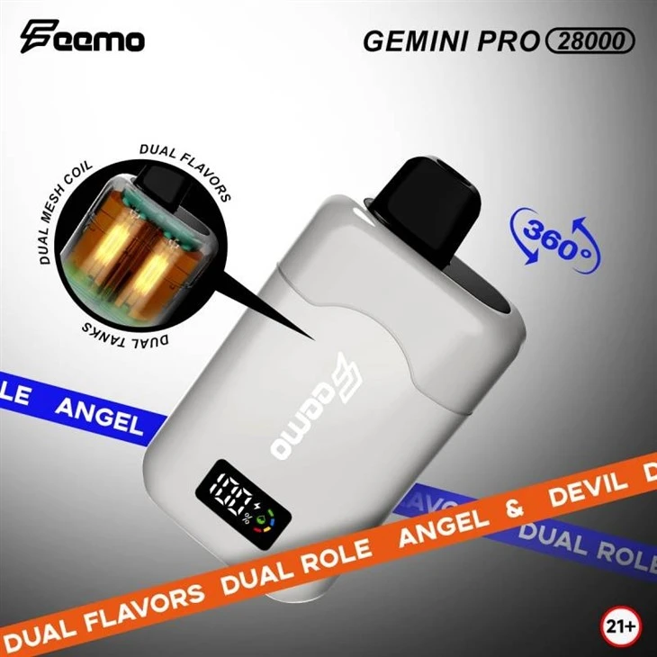 Feemo GEMINI PRO 28000 11