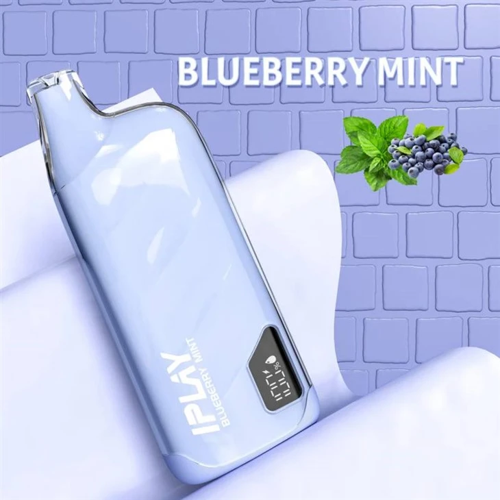 IPLAY XBOX PRO 10000