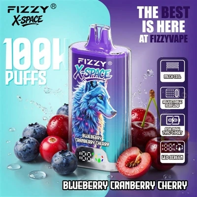مساحة Fizzy 100K X: لا يوجد شيء رائع بالنسبة لجهاز يدوم لفترة طويلة؛ الإنجاز ...