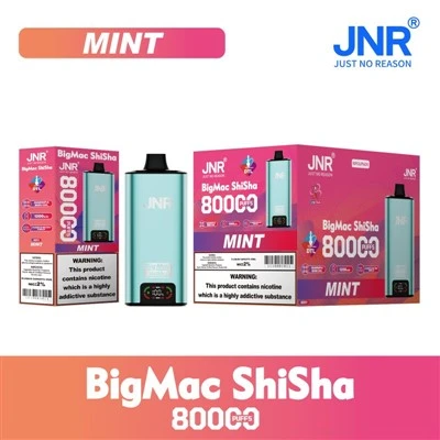 جي إن آر بيج ماك شيشة 80000