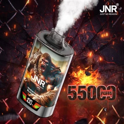 جي إن آر ريج جريلا 55000