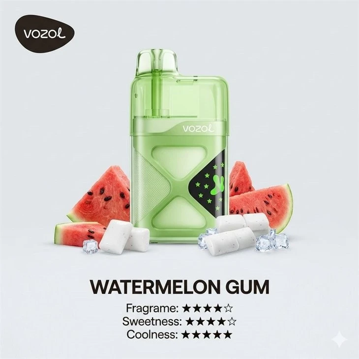 VOZOL Neon 60K manufacturers