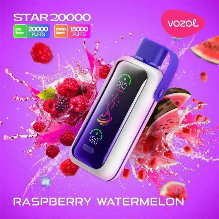 VOZOL STAR 20000 Puffs